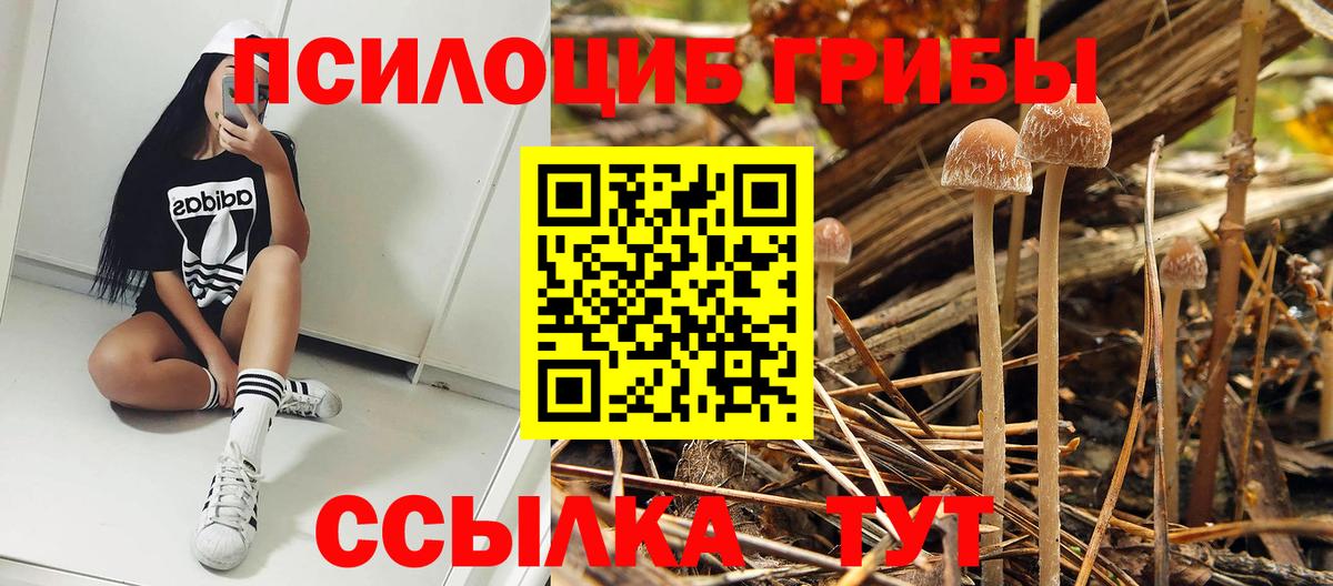 Псилоцибиновые грибы ЛСД  Вход с VPN  Тельмана 